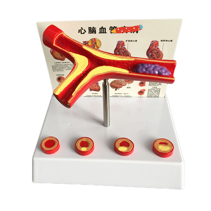 อุปกรณ์ห้องปฏิบัติการแบบจําลอง - Medical Lab And Science บทวิจารณ์และราคา